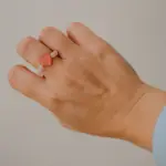 Poprzedni obraz